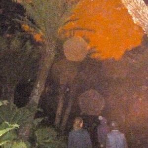 Meet your Posher, Andy